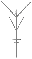 Wraak Symbol